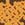 Click to Expand or Contract Details