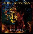 Pierre Bensusan - Intuite