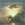 Click to Expand or Contract Details