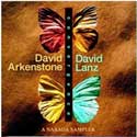 David Lanz Convergence