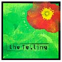 The Telling - Glimmer Field