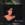 Click to Expand or Contract Details
