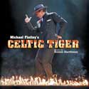 Ronan Hardiman - Celtic Tiger