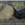 Click to Expand or Contract Details