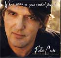 Peter Case - Who's Gonna Go Your Crooked Mile?