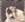 Click to Expand or Contract Details