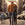 Click to Expand or Contract Details