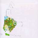 Joni Mitchell - Ladies of the Canyon