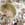 Click to Expand or Contract Details
