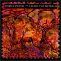 Pierce Pettis - Chase The Buffalo