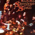 Steeleye Span - Below The Salt