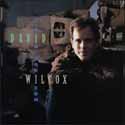David Wilcox - Big Horizon