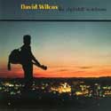David Wilcox - The Nightshift Watchman