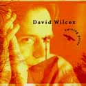 David Wilcox - Turning Point