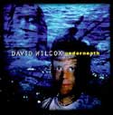David Wilcox - Underneath