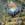 Click to Expand or Contract Details