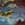 Click to Expand or Contract Details