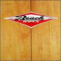 The Beach Boys - Good Vibrations: 30 Years of the Beach Boys