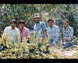 The Beach Boys Poster