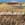 Click to Expand or Contract Details