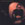 Click to Expand or Contract Details