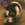 Click to Expand or Contract Details
