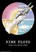 Pink Floyd Poster