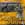 Click to Expand or Contract Details
