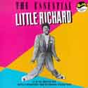 Essential Little Richard